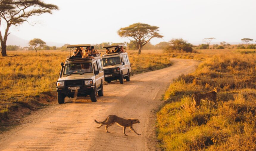 4 Days Serengeti Fly in, Fly out Safari Luxury Safari