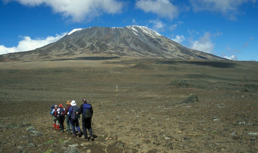 One Day Kilimanjaro Hike