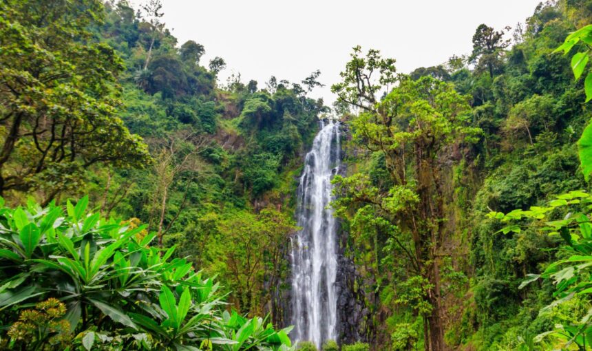 Materuni waterfalls, coffee tour & kikuletwa hot springs