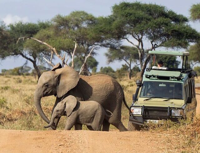 Tarangire National Park on Instagram_ _Who else…